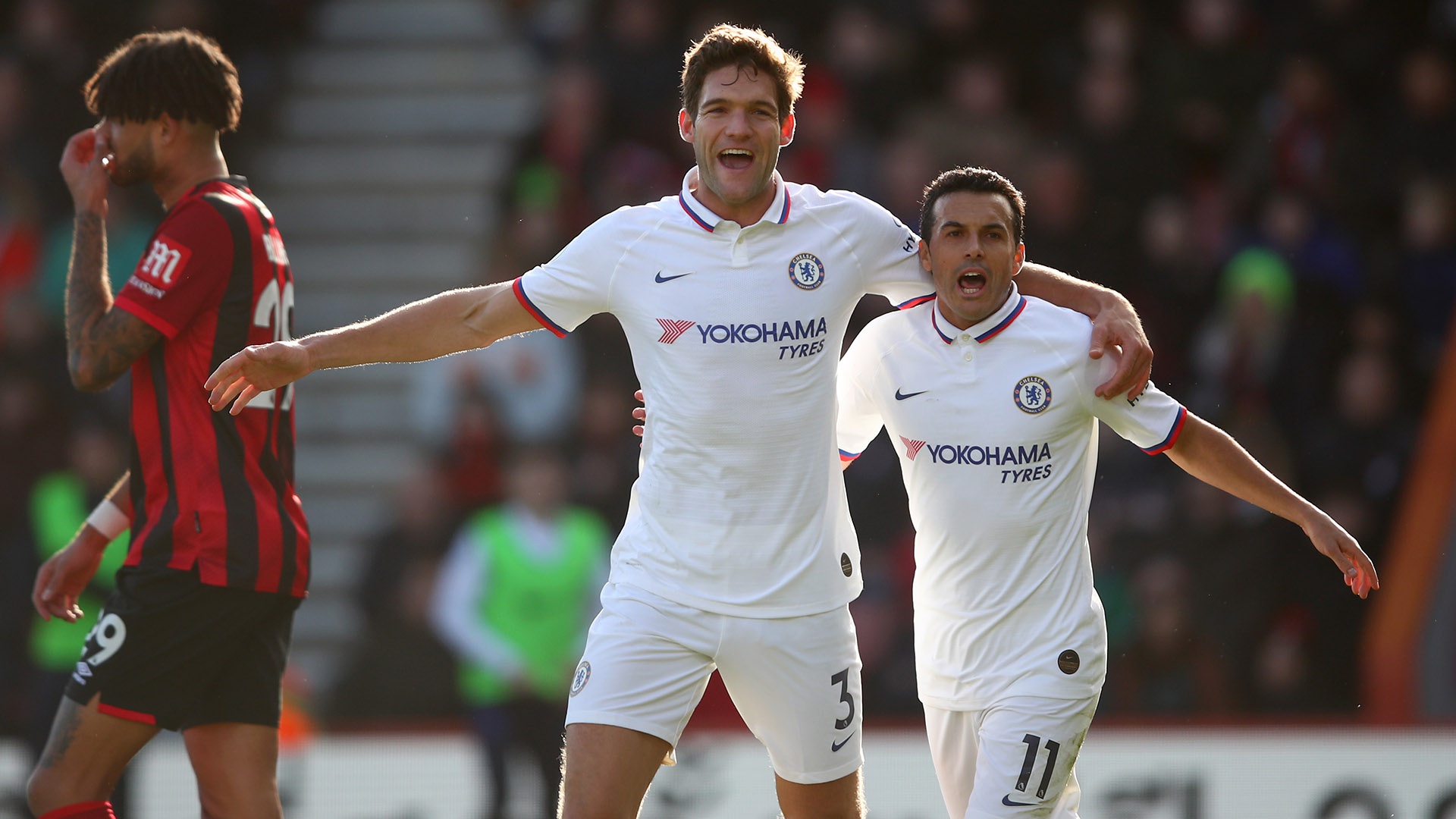 联希望引进 联希望引进